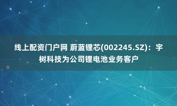 线上配资门户网 蔚蓝锂芯(002245.SZ)：宇树科技为公司锂电池业务客户